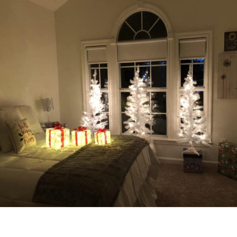 A Fashionable Christmas Box