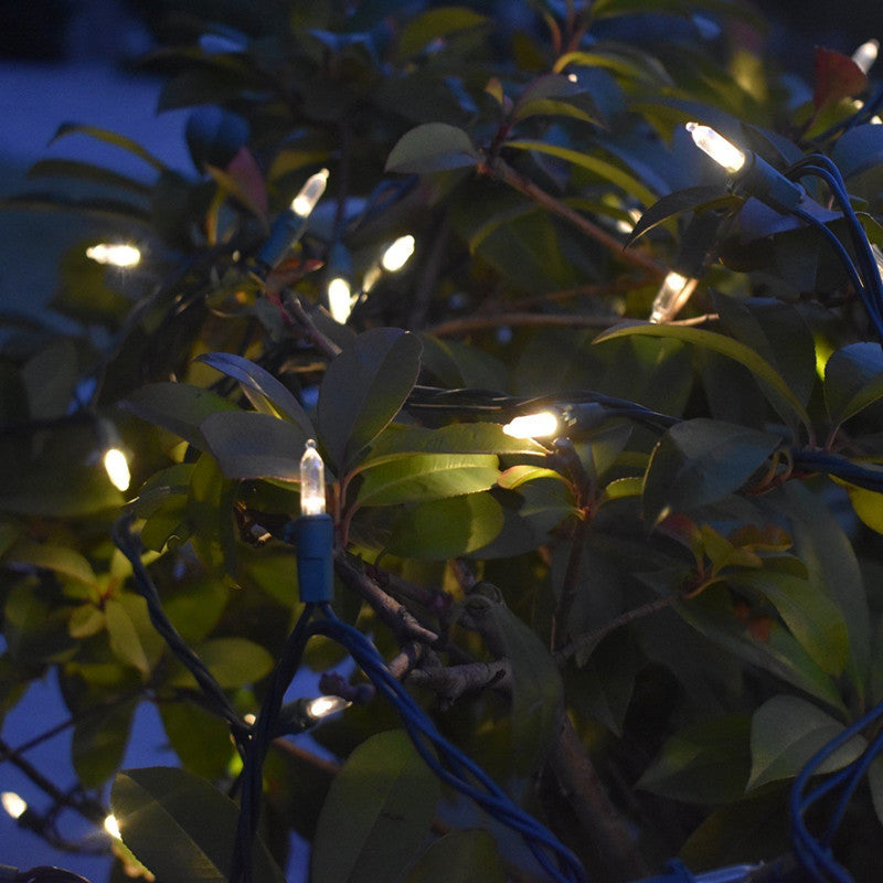 Outdoor Waterproof String Lights