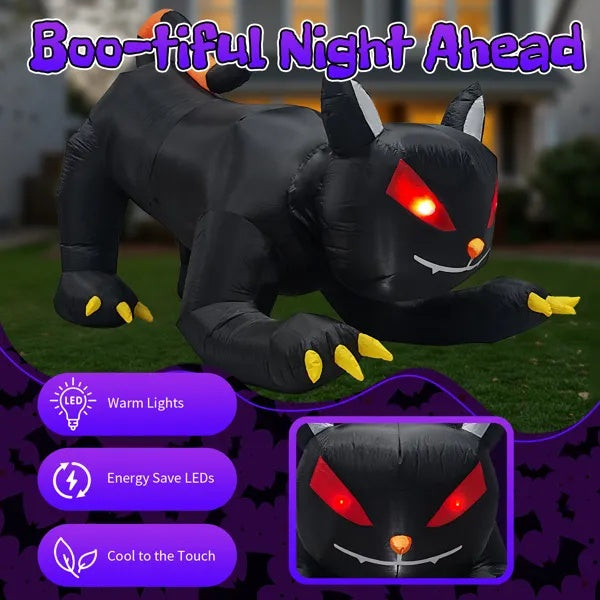Black Cat With Shakable Head