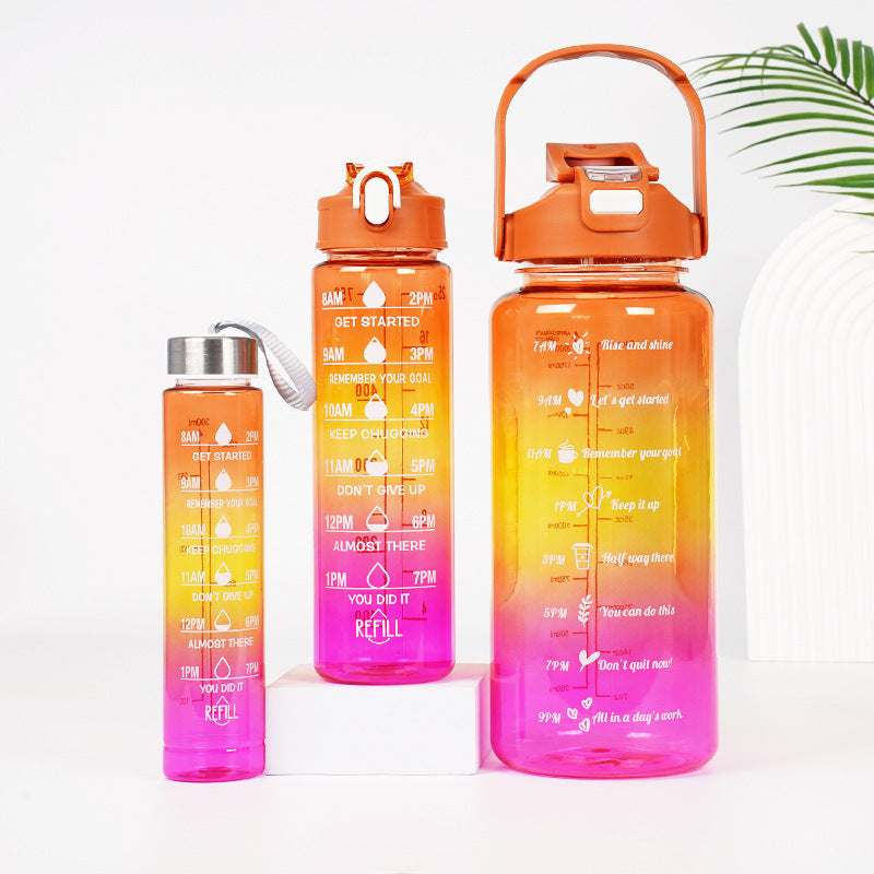 3-in-1 Gradient Color Water Bottles