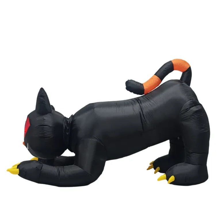 Black Cat With Shakable Head
