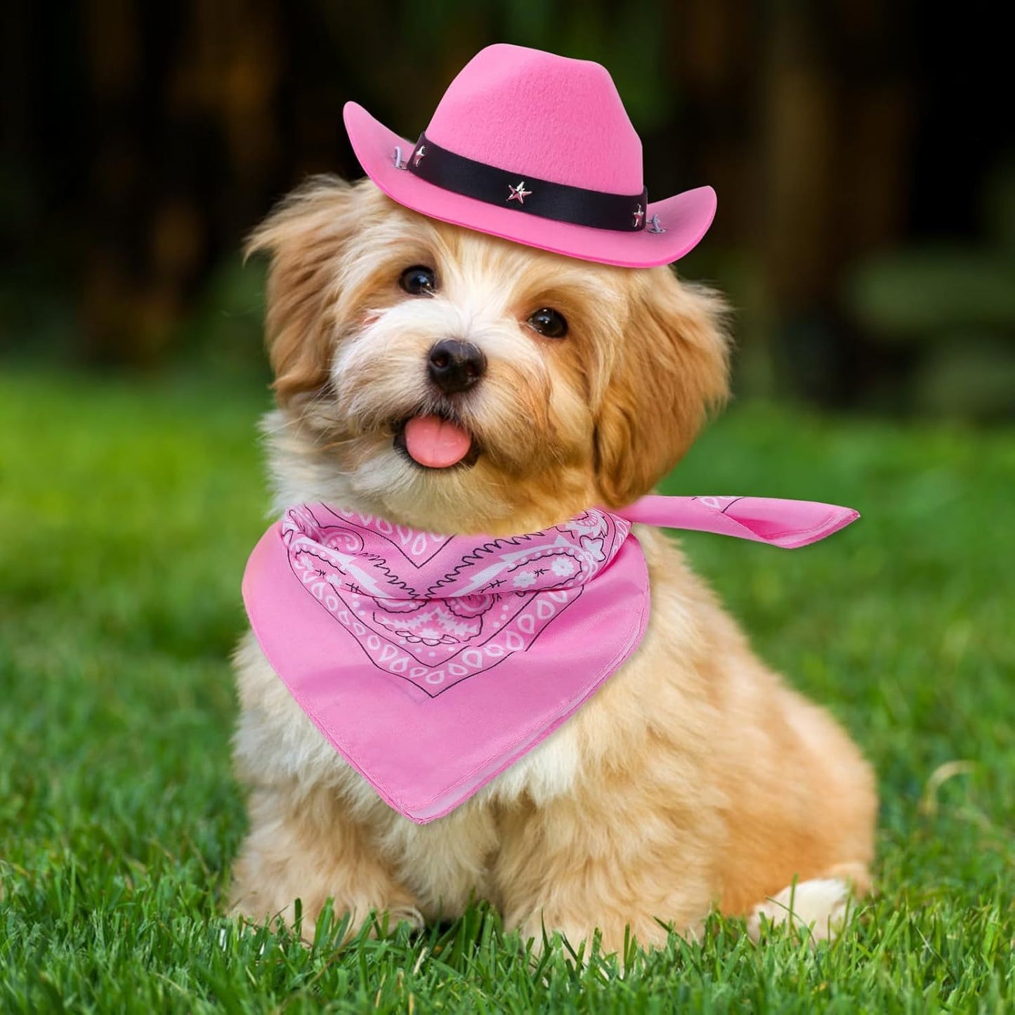 Cowboy Costume